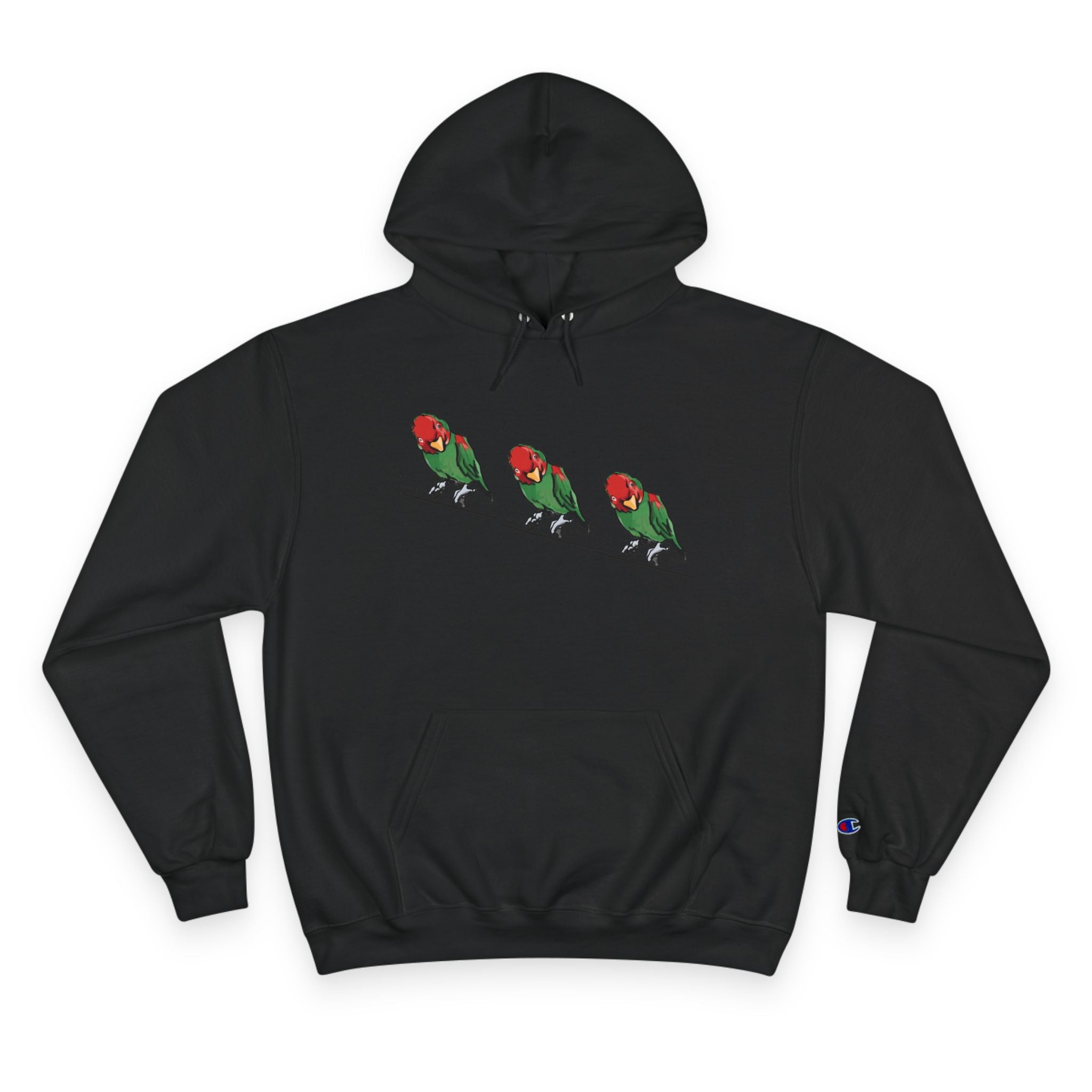 Black pullover hoodie with bird lineup graphic, drawstring hood, front pocket, sleeve logo.