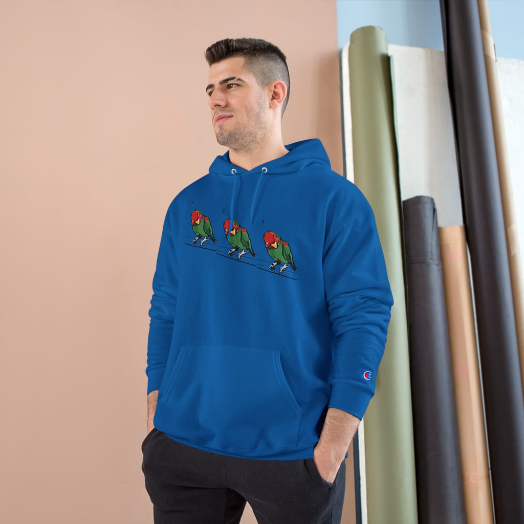 Royal blue hoodie with bird graphic, hood drawstring, Champion sleeve patch