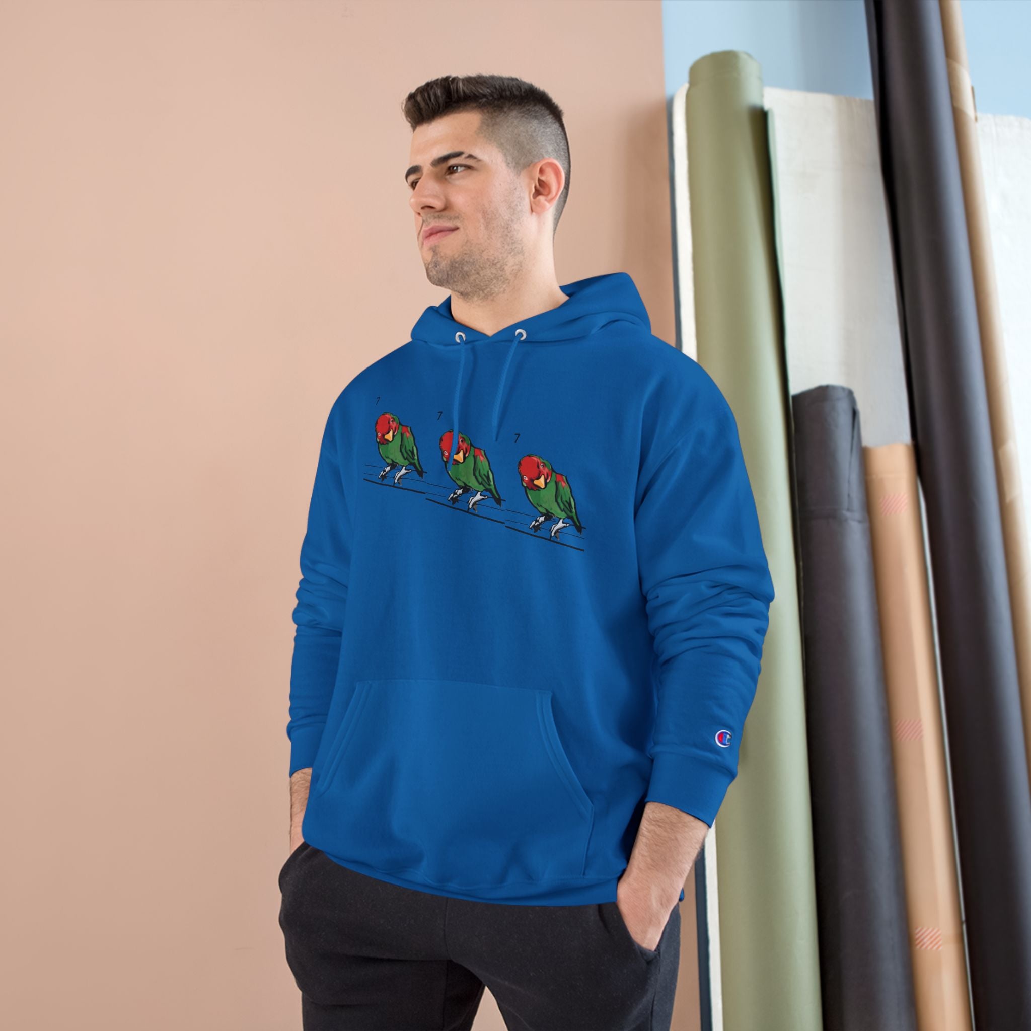 Royal blue hoodie with bird graphic, hood drawstring, Champion sleeve patch