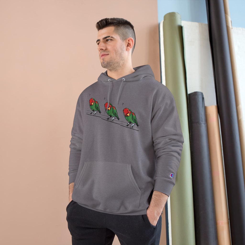 Stone grey hoodie with bird graphic across chest, hood drawstring, Champion sleeve patch