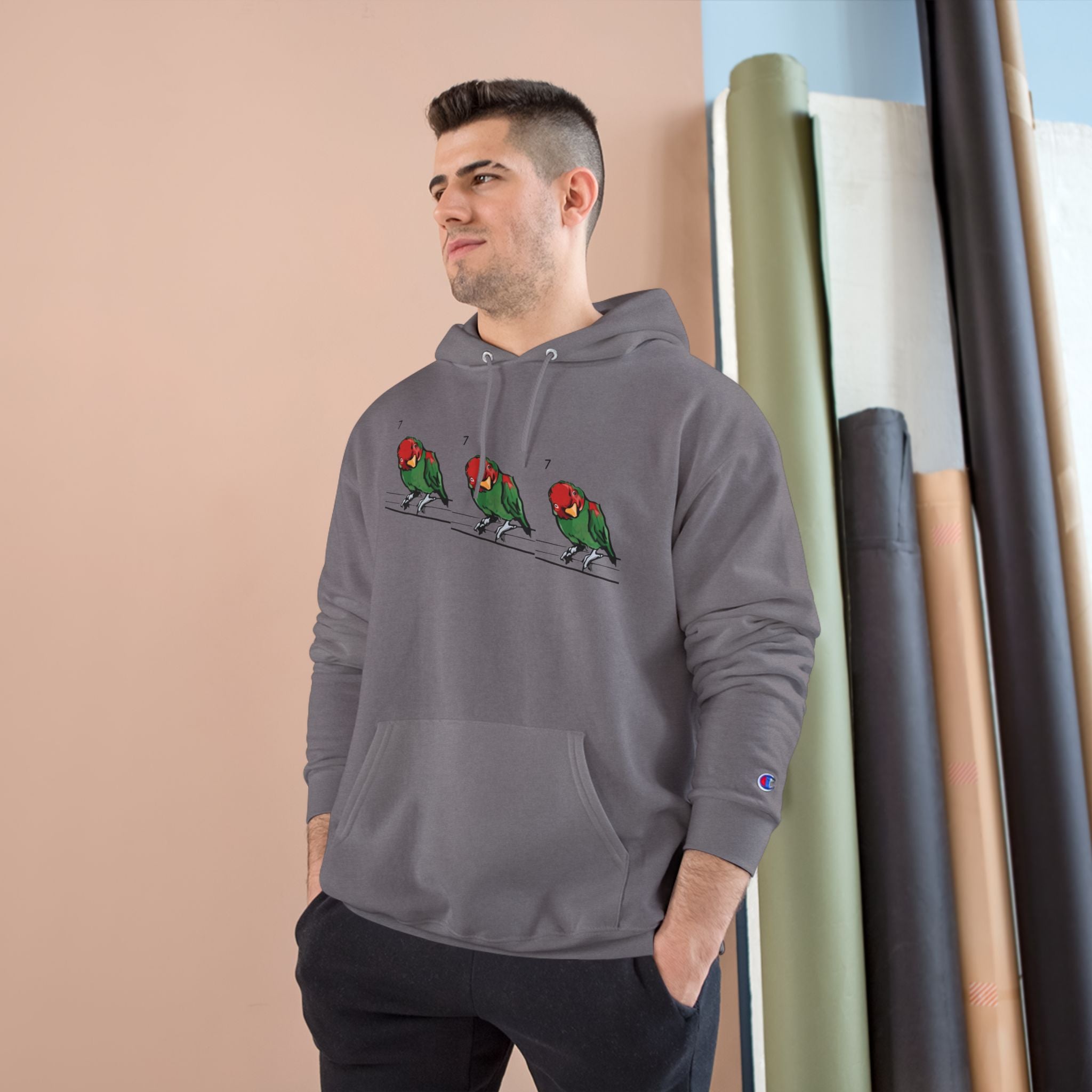 Stone grey hoodie with bird graphic across chest, hood drawstring, Champion sleeve patch