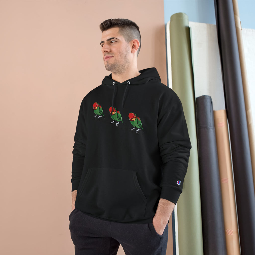 Black hoodie with bird graphic across chest, hood drawstring, Champion sleeve patch