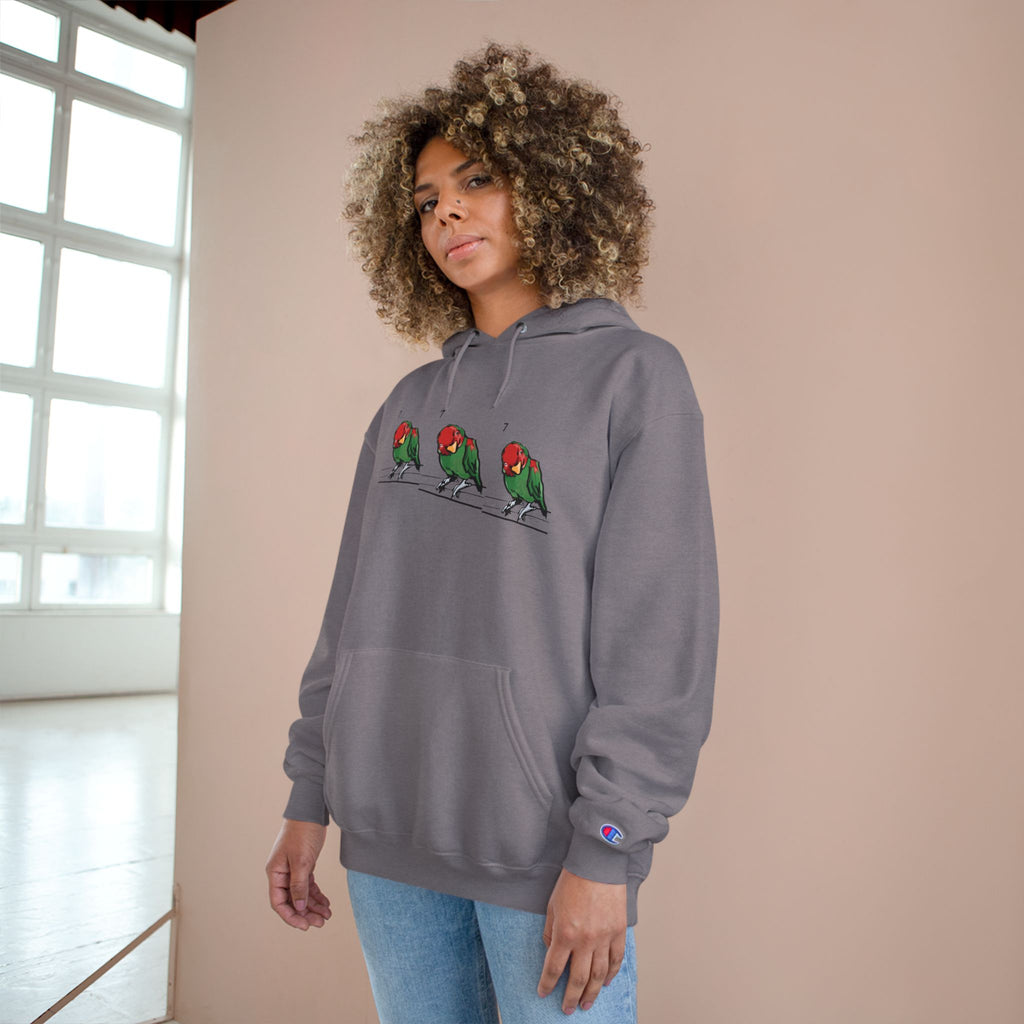 Stone grey hoodie with bird graphic, hood drawstring, Champion sleeve patch
