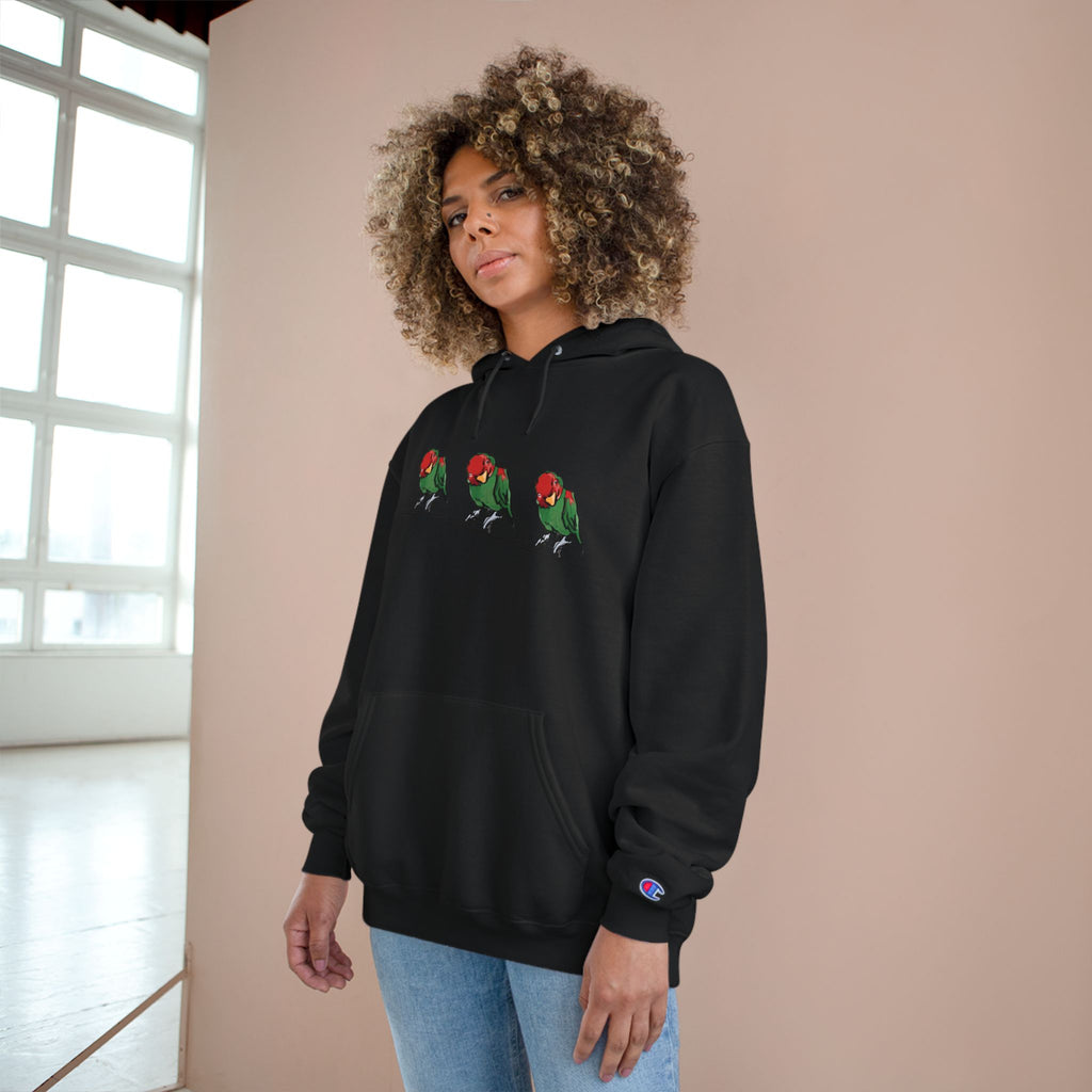 Black hoodie with bird graphic, hood drawstring, Champion sleeve patch
