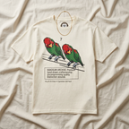 Cotton graphic tee, faded cream front print of two red and green parrots