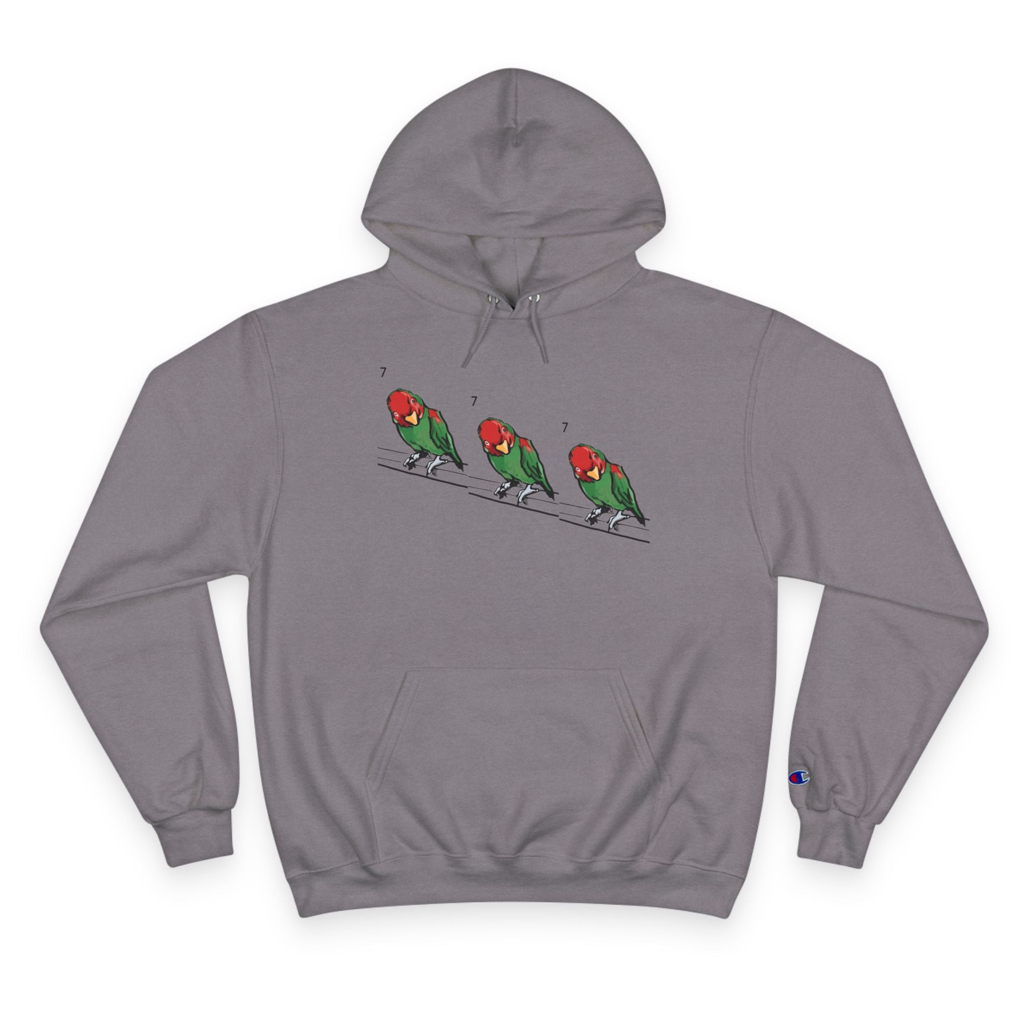 Stone grey pullover hoodie with bird lineup graphic, drawstring hood and front pocket.