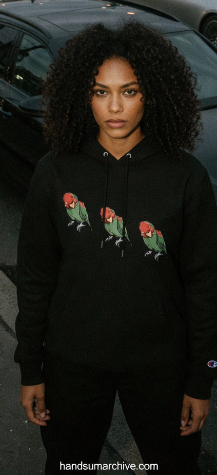 Black hoodie with colorful bird graphic across chest, pullover hood and front pocket.